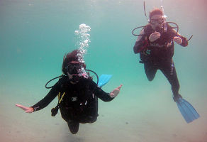 Discover Scuba Diving in Fujairah one Pool & two sea dives 1